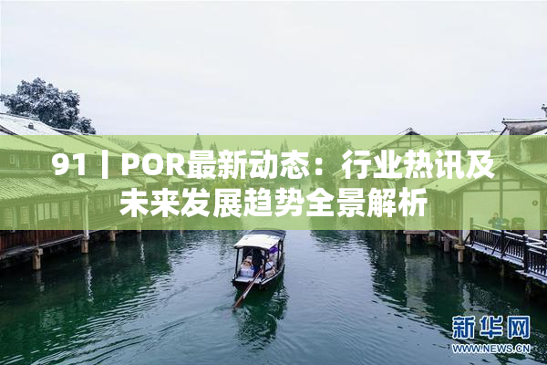 91丨POR最新动态：行业热讯及未来发展趋势全景解析