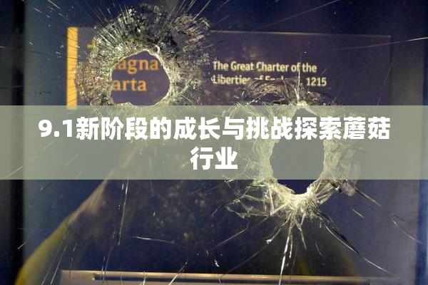 9.1新阶段的成长与挑战探索蘑菇行业