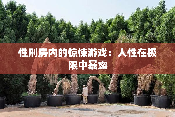 性刑房内的惊悚游戏：人性在极限中暴露