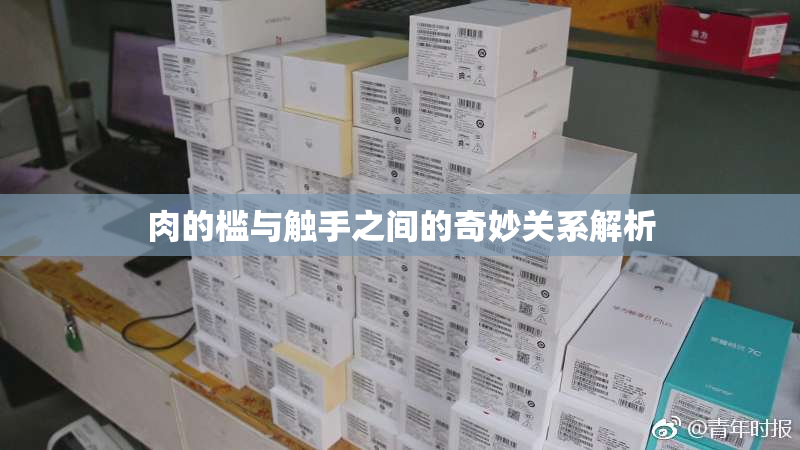 肉的槛与触手之间的奇妙关系解析