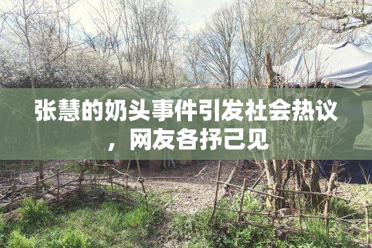 张慧的奶头事件引发社会热议，网友各抒己见