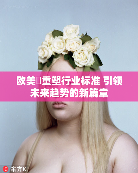 欧美巜重塑行业标准 引领未来趋势的新篇章