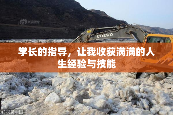 学长的指导，让我收获满满的人生经验与技能