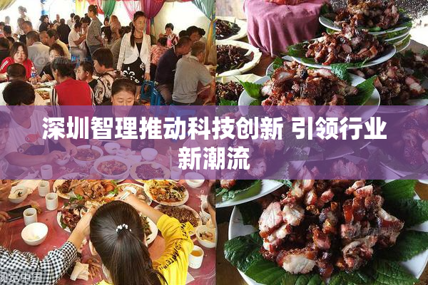 深圳智理推动科技创新 引领行业新潮流