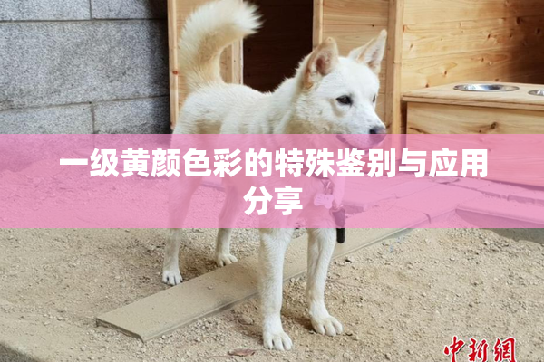 一级黄颜色彩的特殊鉴别与应用分享
