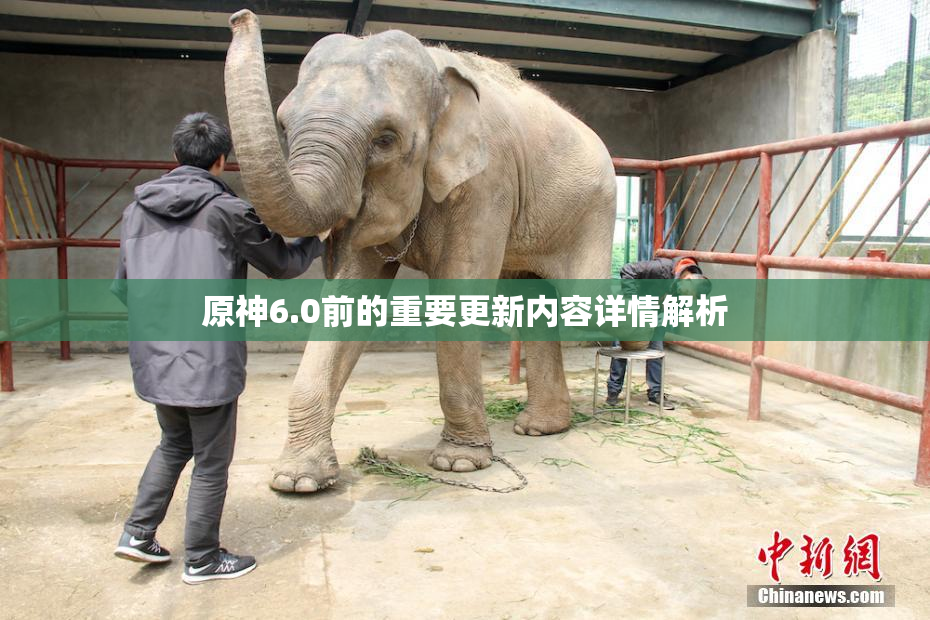 原神6.0前的重要更新内容详情解析