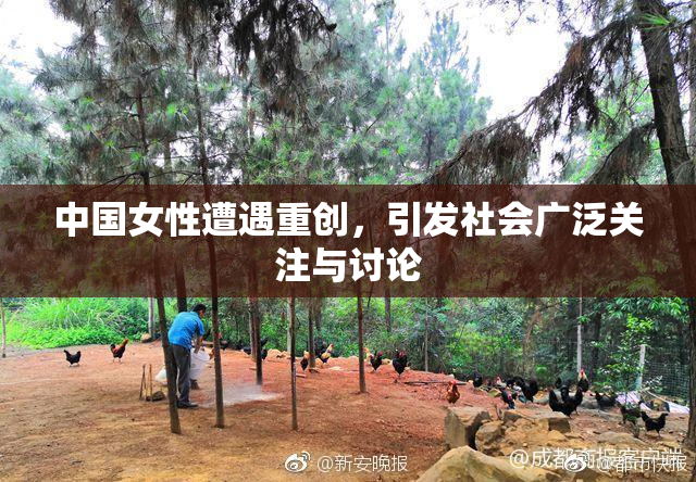 中国女性遭遇重创，引发社会广泛关注与讨论