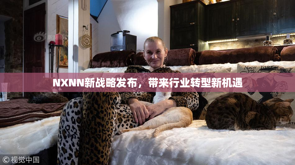 NXNN新战略发布，带来行业转型新机遇
