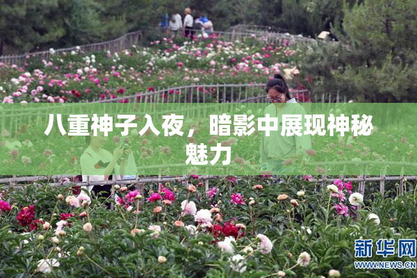 八重神子入夜，暗影中展现神秘魅力