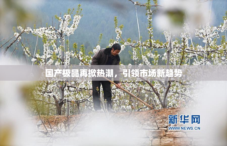 国产极品再掀热潮，引领市场新趋势