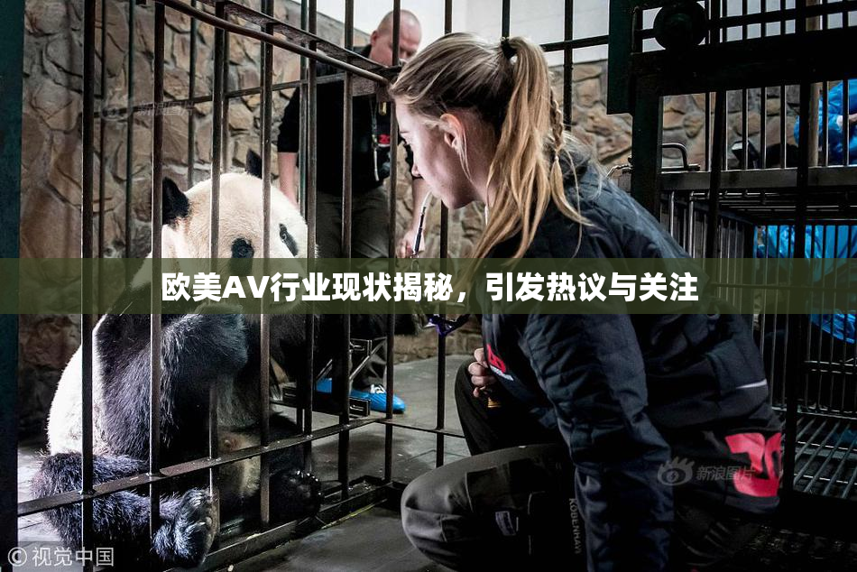 欧美AV行业现状揭秘，引发热议与关注