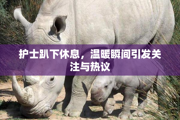 护士趴下休息，温暖瞬间引发关注与热议