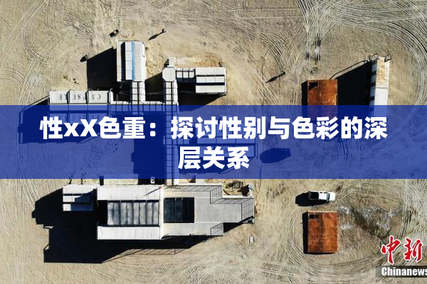 性xX色重：探讨性别与色彩的深层关系