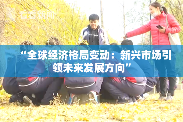 “全球经济格局变动：新兴市场引领未来发展方向”