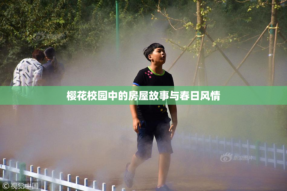 樱花校园中的房屋故事与春日风情