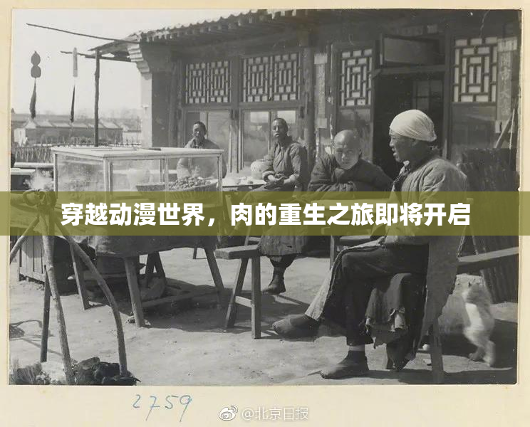穿越动漫世界，肉的重生之旅即将开启