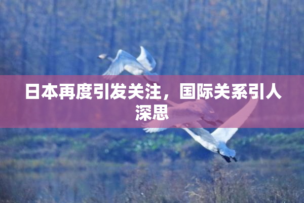 日本再度引发关注，国际关系引人深思