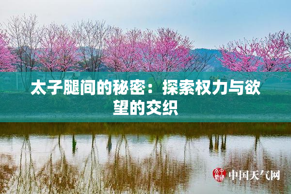 太子腿间的秘密：探索权力与欲望的交织