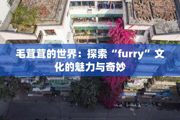 毛茸茸的世界：探索“furry”文化的魅力与奇妙
