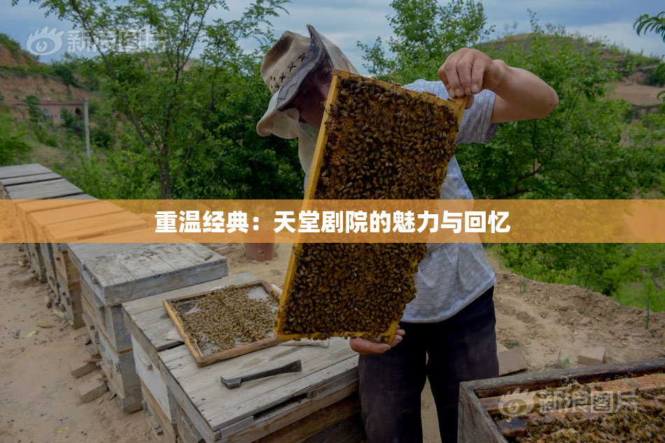 重温经典：天堂剧院的魅力与回忆