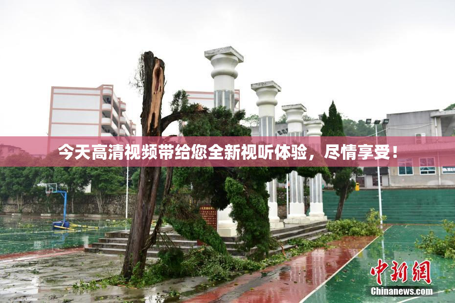今天高清视频带给您全新视听体验，尽情享受！