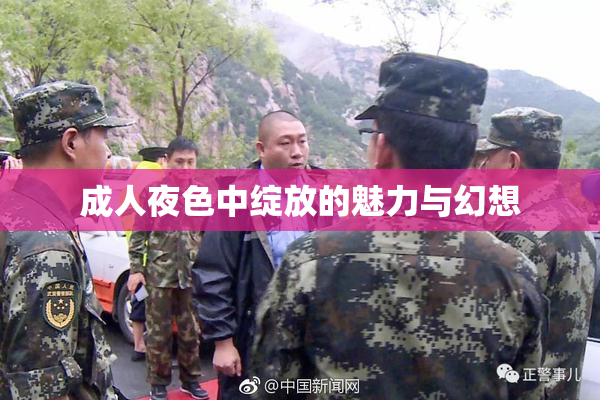 成人夜色中绽放的魅力与幻想