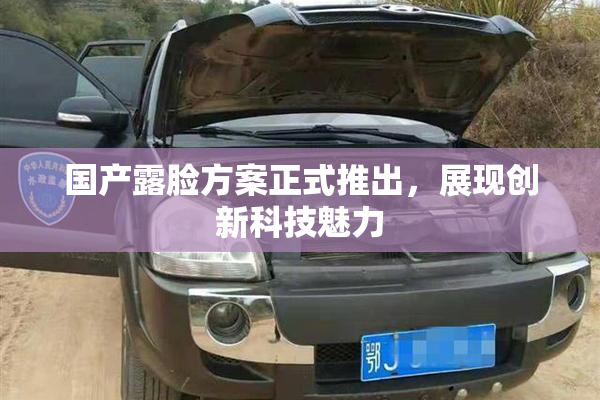 国产露脸方案正式推出，展现创新科技魅力