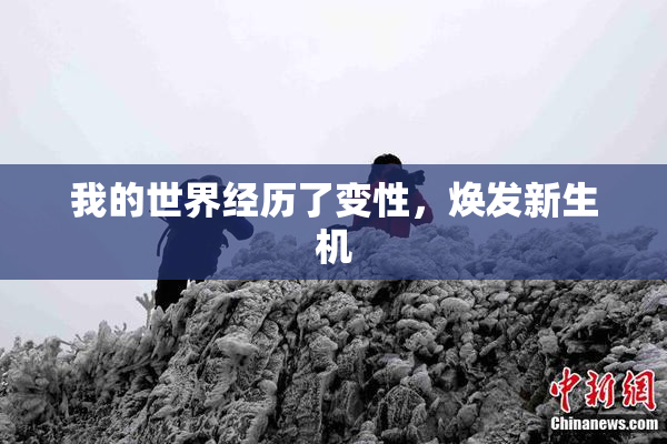 我的世界经历了变性，焕发新生机