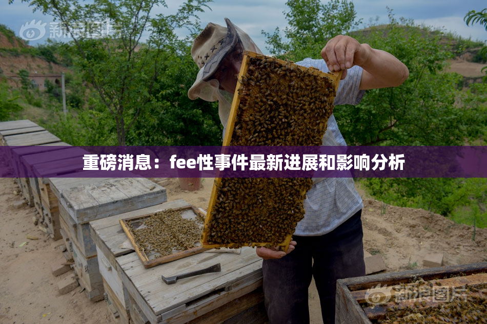 重磅消息：fee性事件最新进展和影响分析