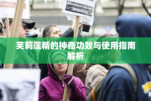 芙莉莲精的神奇功效与使用指南解析