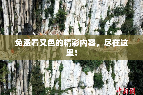 免费看又色的精彩内容，尽在这里！