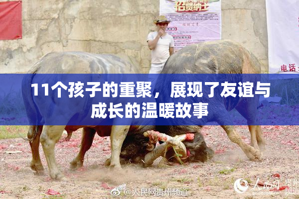 11个孩子的重聚，展现了友谊与成长的温暖故事