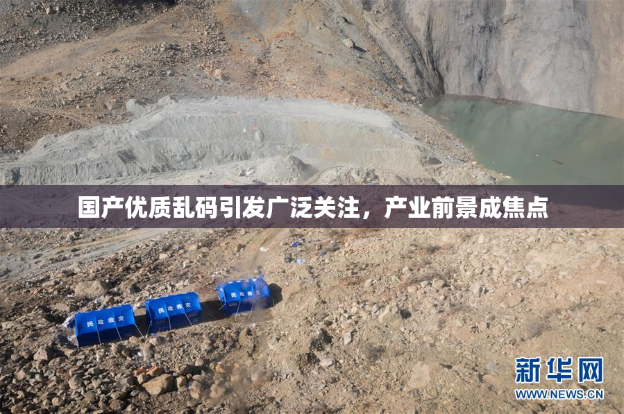 国产优质乱码引发广泛关注，产业前景成焦点