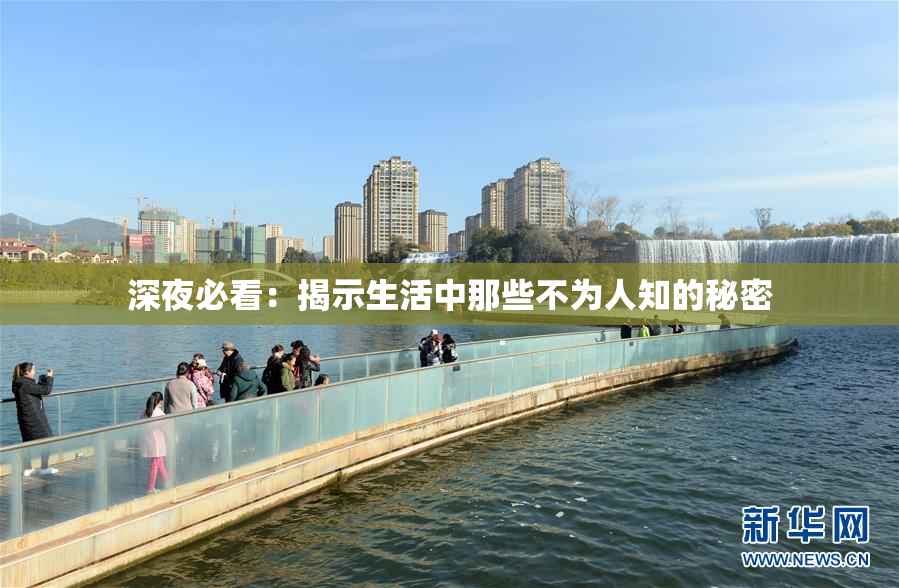 深夜必看：揭示生活中那些不为人知的秘密