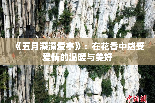《五月深深爱亭》：在花香中感受爱情的温暖与美好