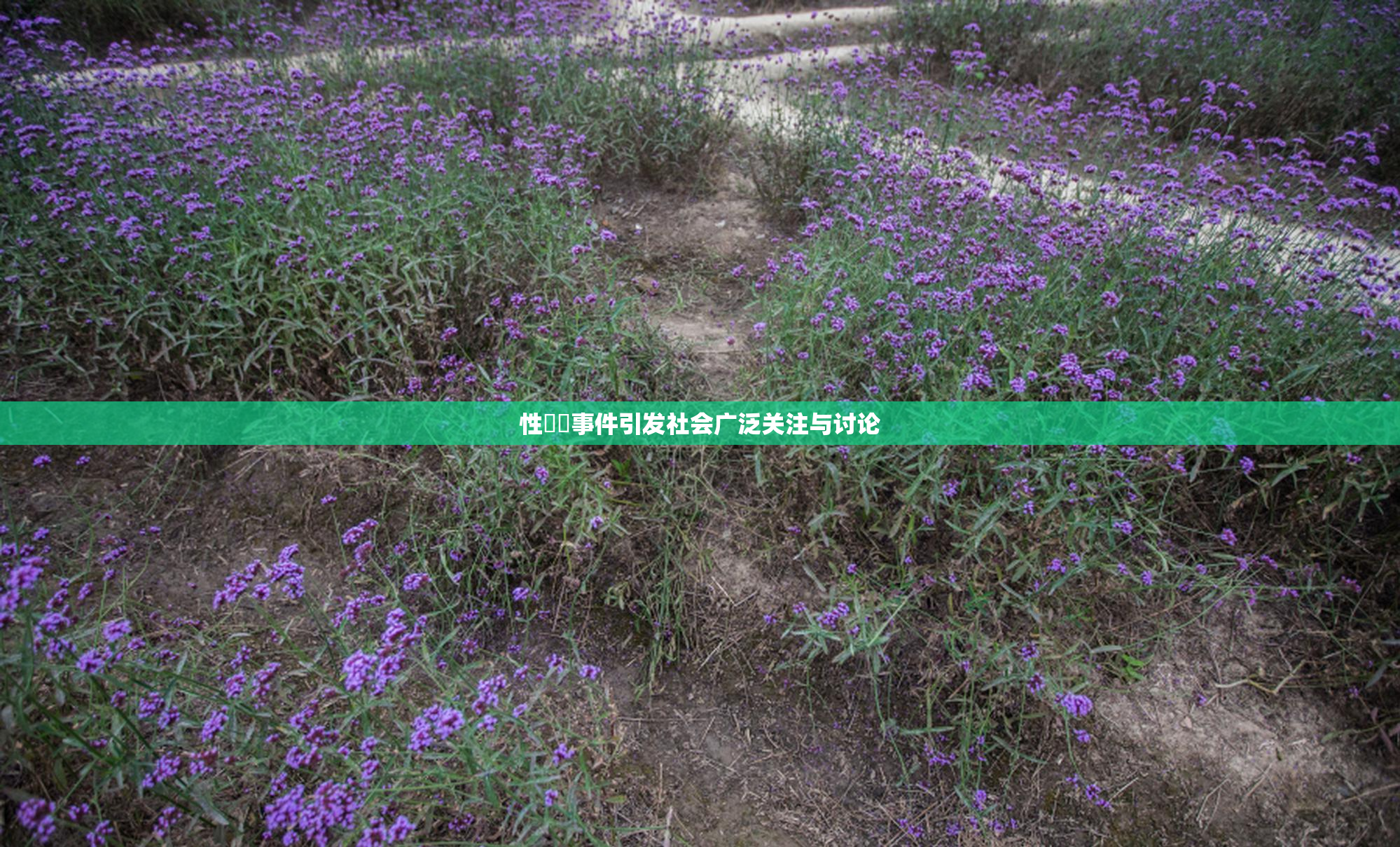 性亂倫事件引发社会广泛关注与讨论