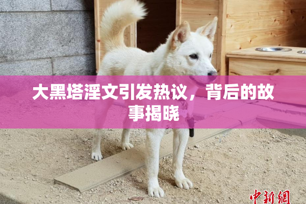 大黑塔淫文引发热议，背后的故事揭晓