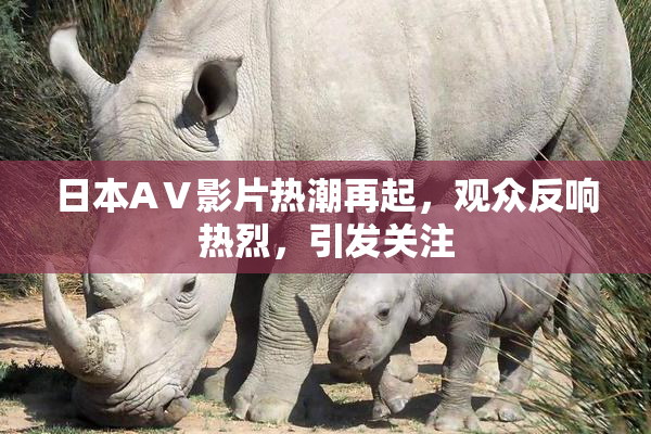 日本AⅤ影片热潮再起，观众反响热烈，引发关注