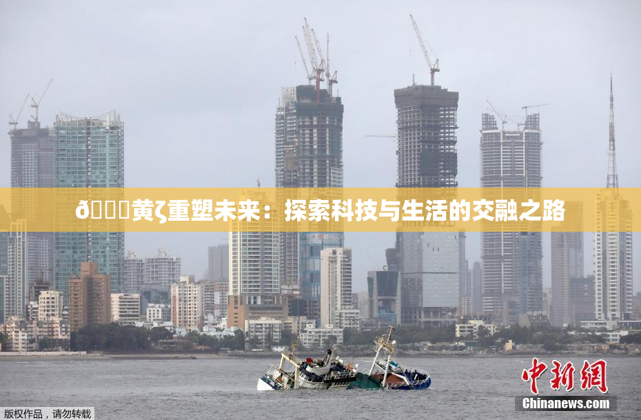 🔞黄ζ重塑未来：探索科技与生活的交融之路