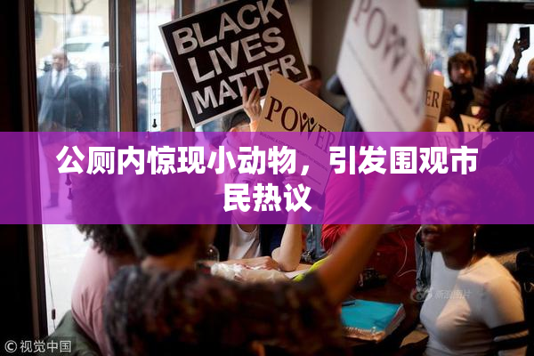 公厕内惊现小动物，引发围观市民热议