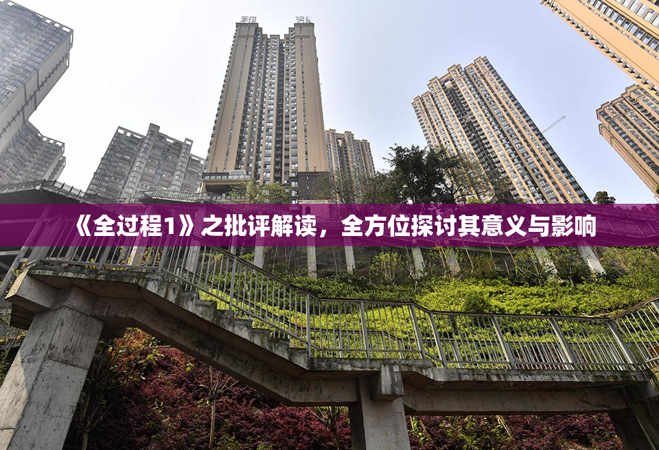 《全过程1》之批评解读，全方位探讨其意义与影响