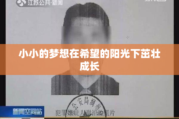 小小的梦想在希望的阳光下茁壮成长