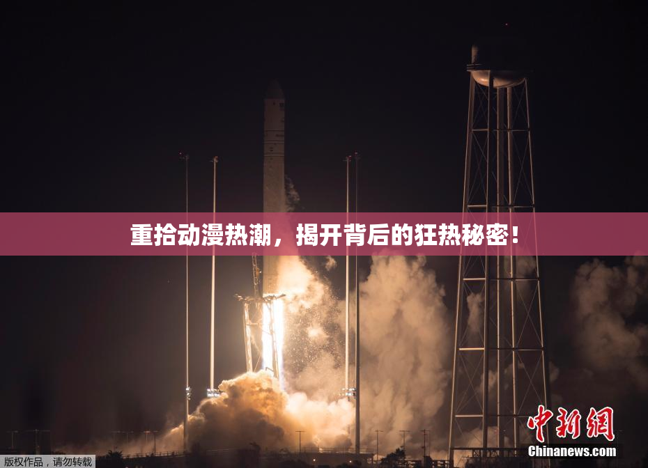 重拾动漫热潮，揭开背后的狂热秘密！
