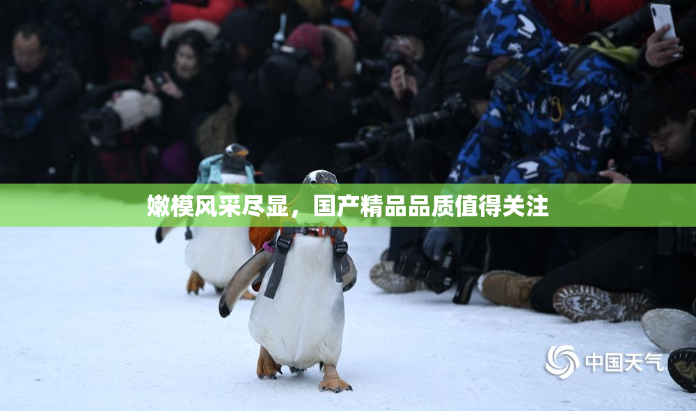 嫩模风采尽显，国产精品品质值得关注