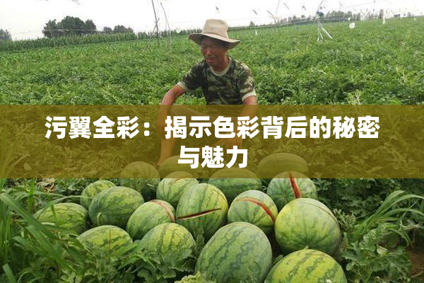 污翼全彩：揭示色彩背后的秘密与魅力