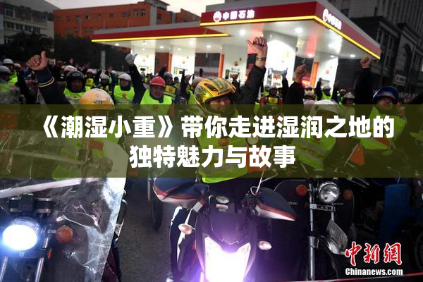 《潮湿小重》带你走进湿润之地的独特魅力与故事