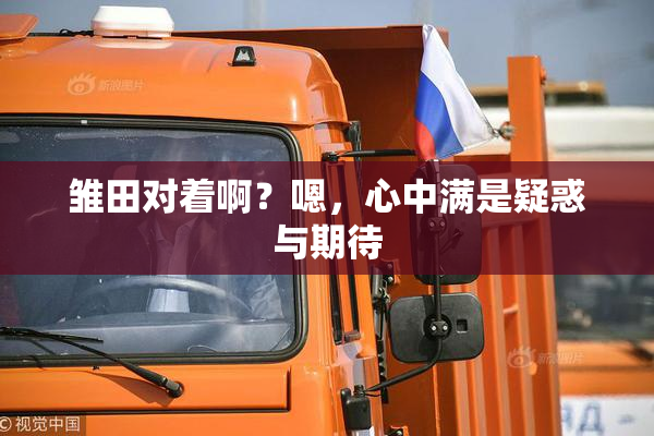 雏田对着啊？嗯，心中满是疑惑与期待