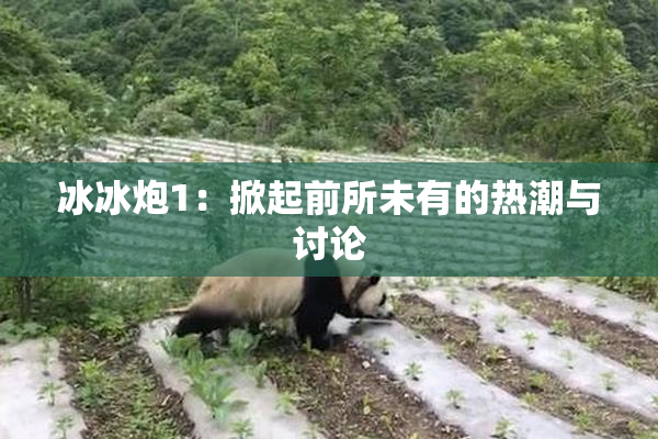 冰冰炮1：掀起前所未有的热潮与讨论