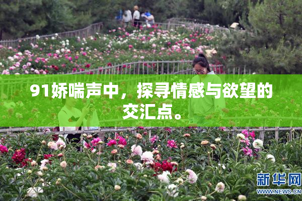 91娇喘声中，探寻情感与欲望的交汇点。