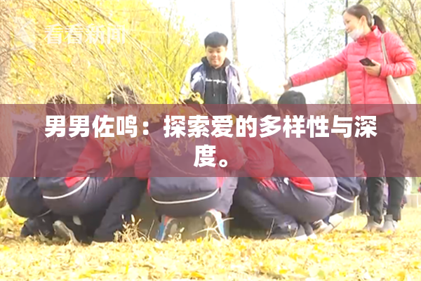 男男佐鸣：探索爱的多样性与深度。